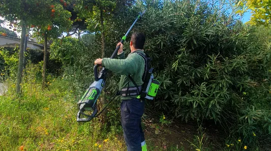 Podadores/cortasetos de altura y multiusos a batería